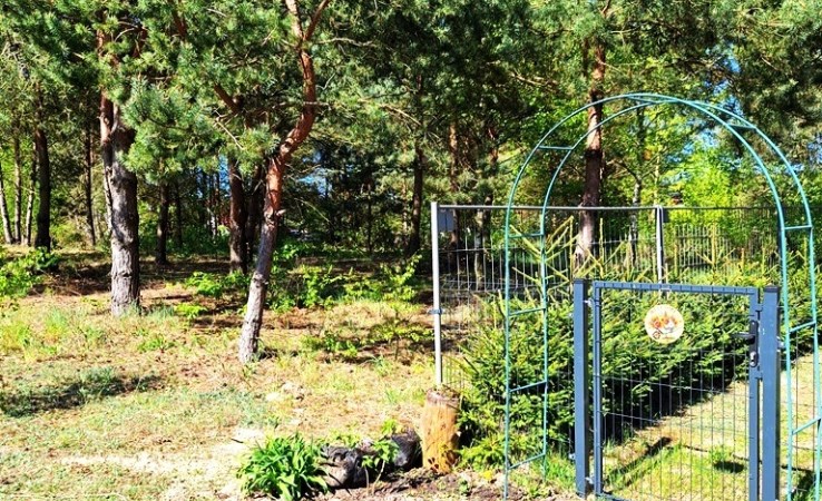 działka na sprzedaż - Wysoka (gw), Stare
