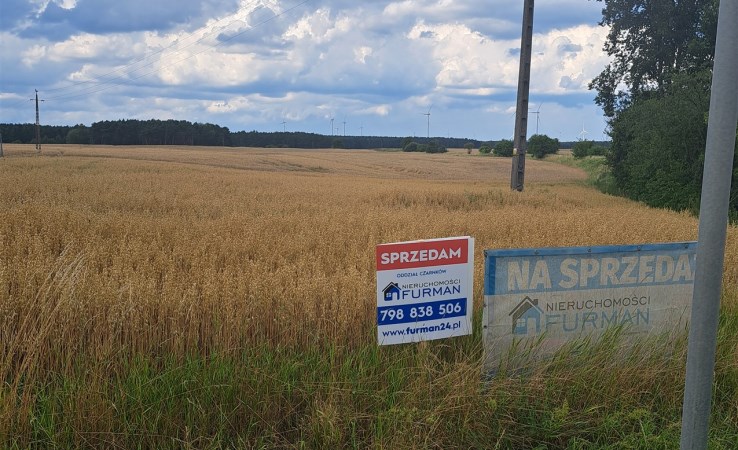 działka na sprzedaż - Czarnków (gw), Sarbia