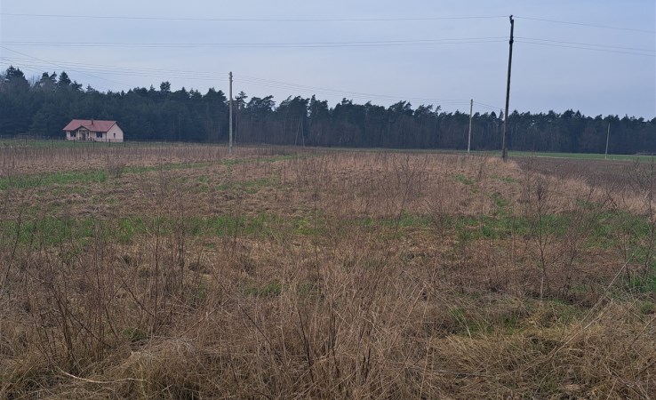 działka na sprzedaż - Lubasz, Krucz