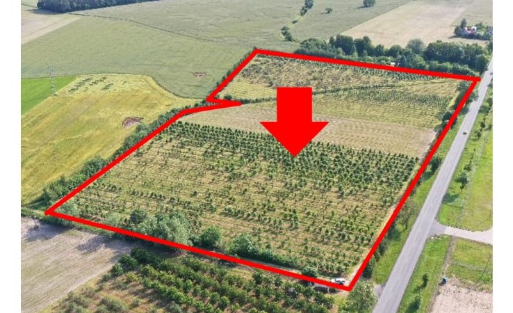 działka na sprzedaż - Białośliwie, Pobórka Mała