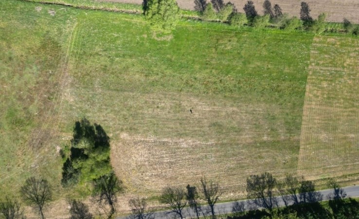 działka na sprzedaż - Trzcianka (gw), Biernatowo