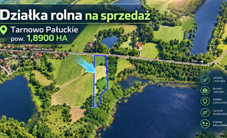 działka na sprzedaż - Wągrowiec (gw), Tarnowo Pałuckie