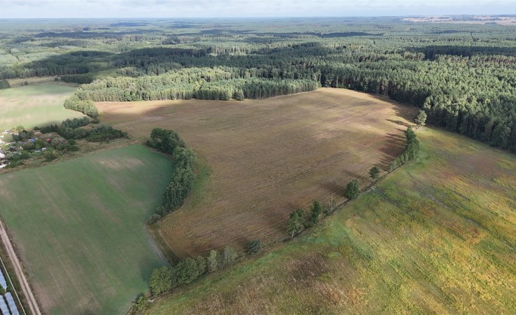 działka na sprzedaż - Trzcianka (gw), Sarcz, Dłużewo